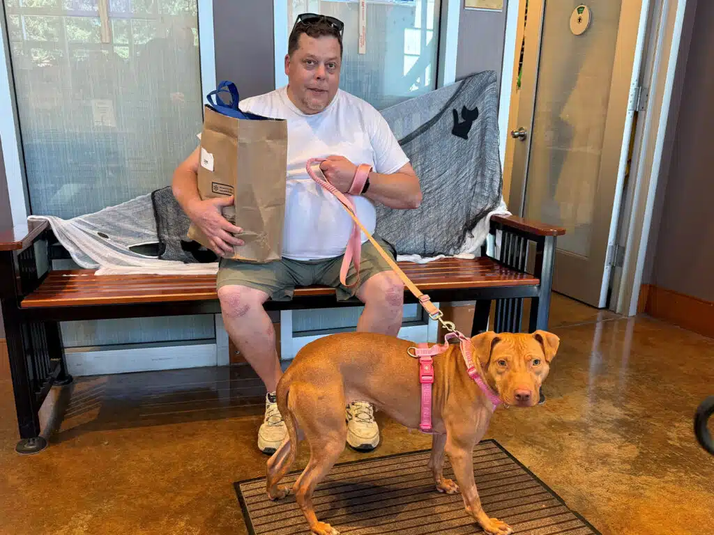A man in a white T-shirt sits on a bench holding a paper bag and a pink leash attached to a tan dog with a harness, with windows and a door in the background.