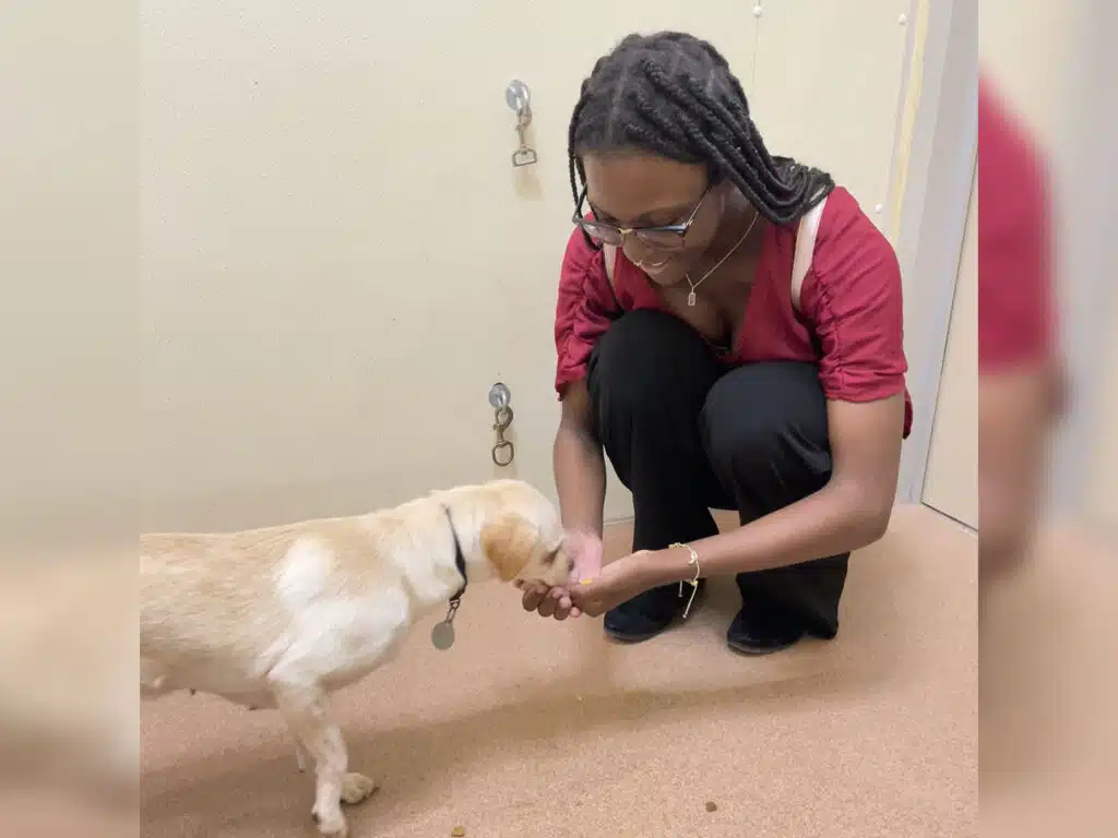 A woman crouches to feed a light-colored dog in a beige indoor room with a door and wall hooks in the background.