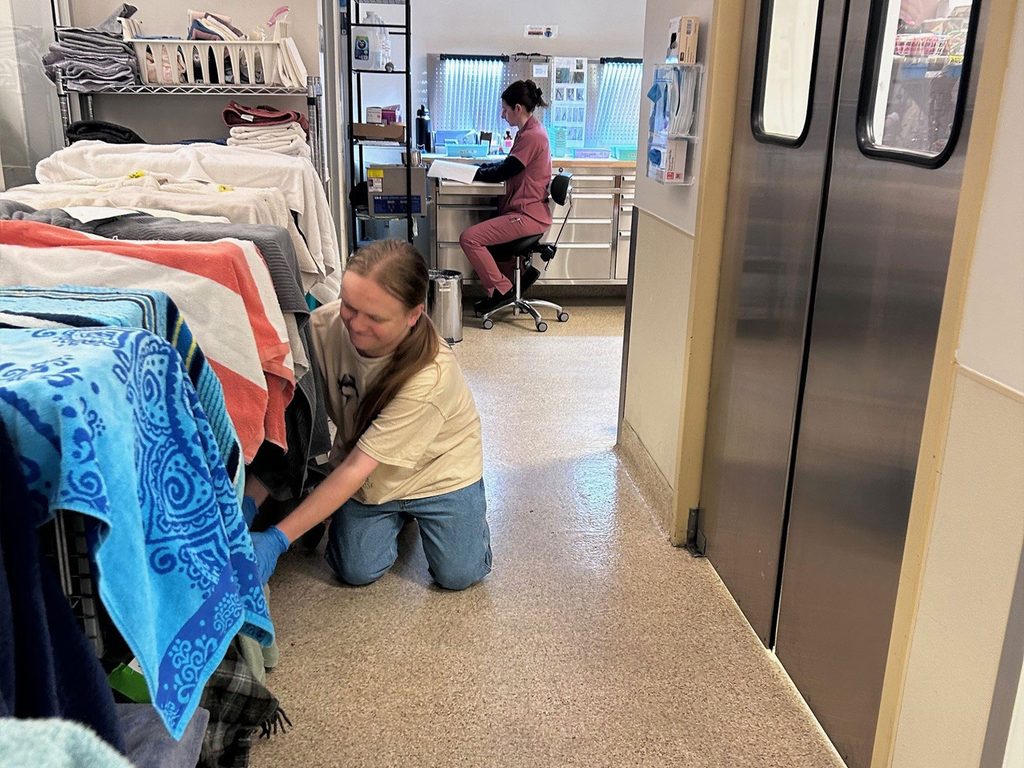 A woman kneels beside a cat carrier draped with colorful towels in a veterinary clinic, with another staff member working at a desk in the background.