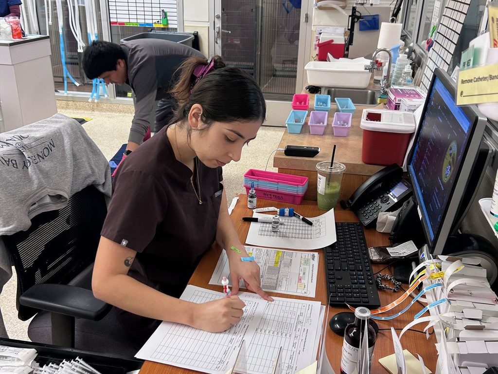 A woman fills out paperwork at a desk with a computer, keyboard, phone, and office supplies, while another person works behind her in a clinic office.