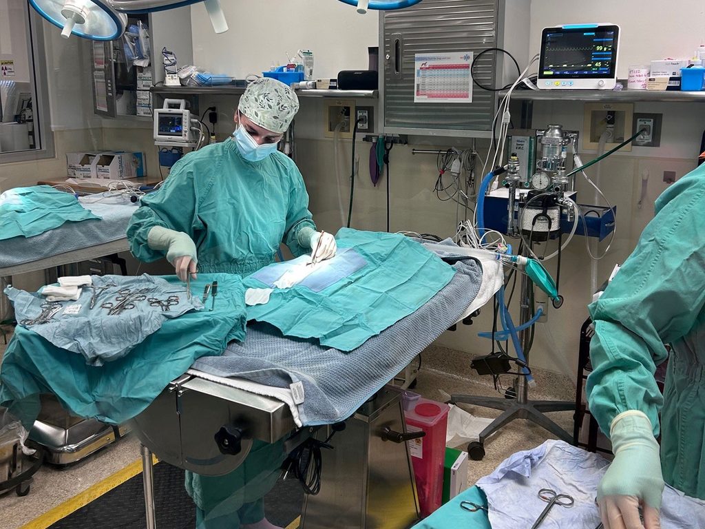 A masked veterinary surgeon in green scrubs performs a procedure on a cat draped in blue surgical cloths, with monitoring equipment and instruments on a clinic table nearby.