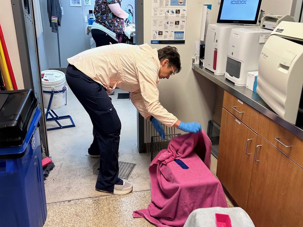 A staff member wearing gloves bends over a magenta-covered crate in a clinic room with medical equipment and cabinets.