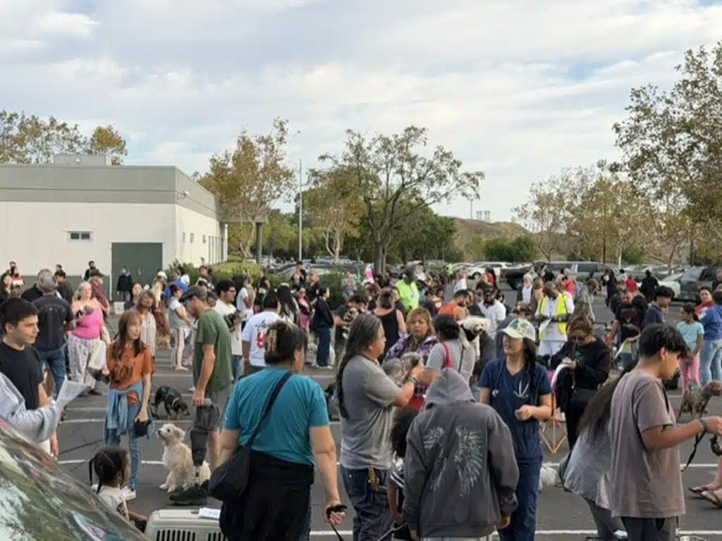A large group of people stands in a parking lot beside a white building, with parked cars, trees, and an overcast sky in the background.