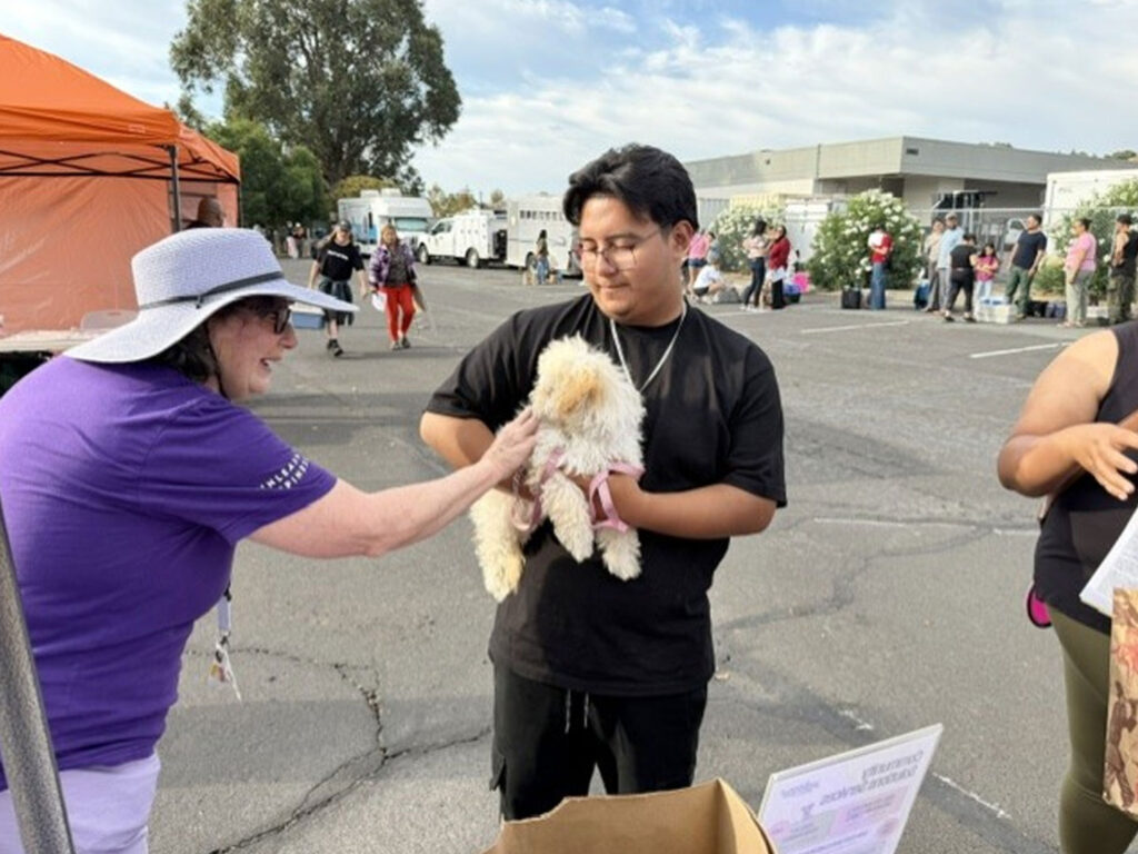 A man in a black T-shirt holds a small fluffy white dog while a woman in a purple shirt and white hat reaches toward it, with people gathered outside near tents and buildings.