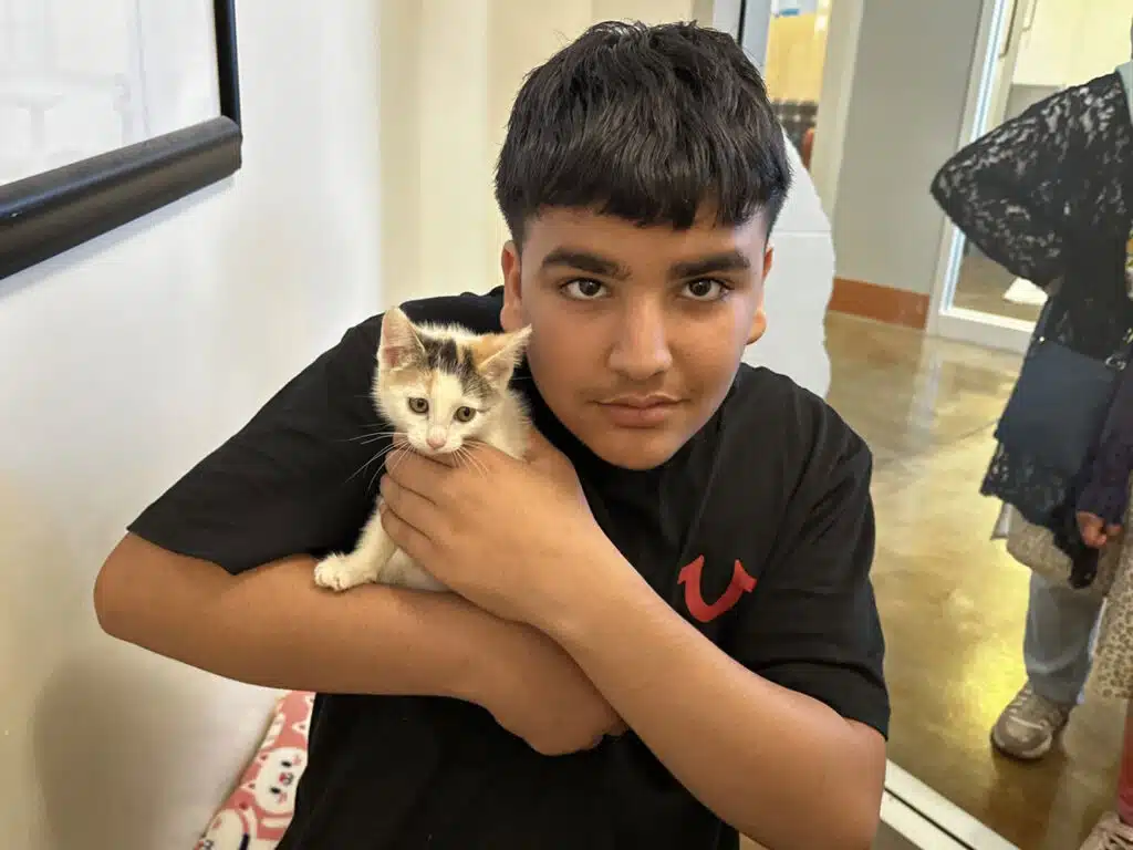 A boy in a black T-shirt holds a small kitten indoors, with a hallway and doorway in the background.