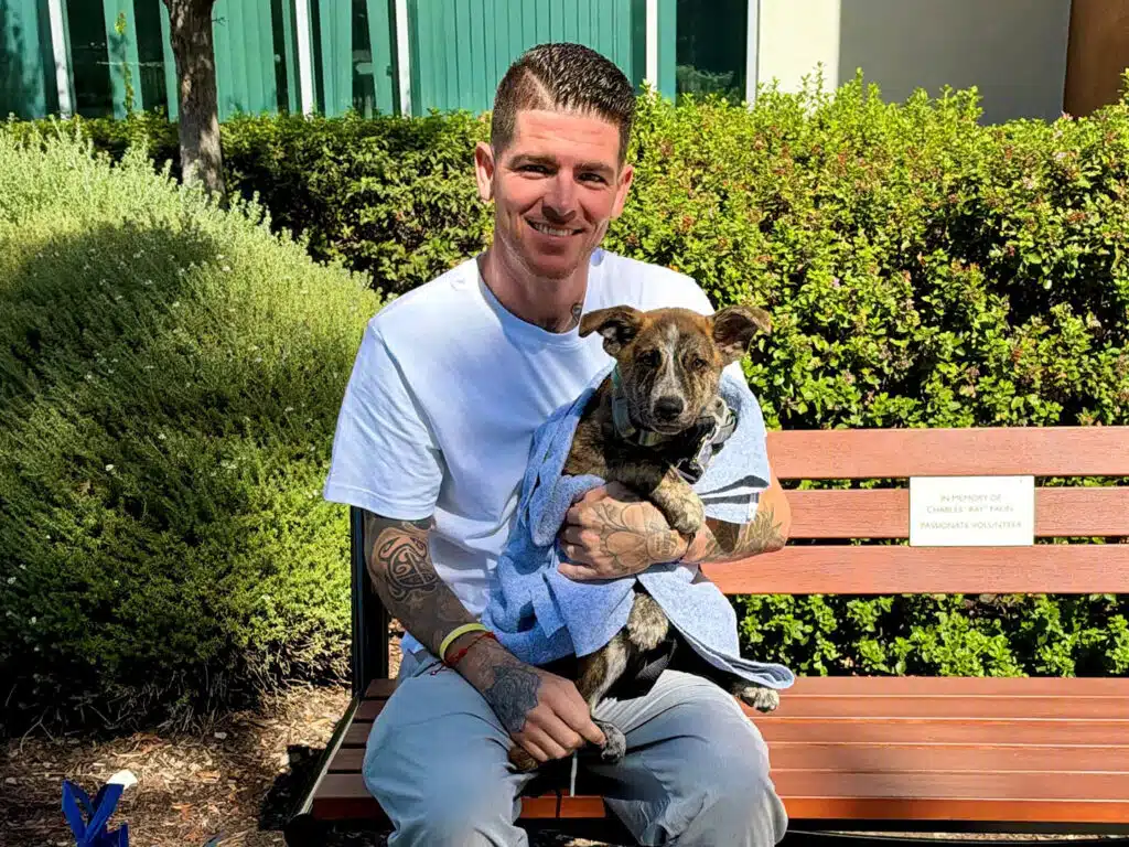 A man with tattooed arms sits on a wooden bench holding a small brindle dog wrapped in a light blue towel, with green shrubs and a building in the background.