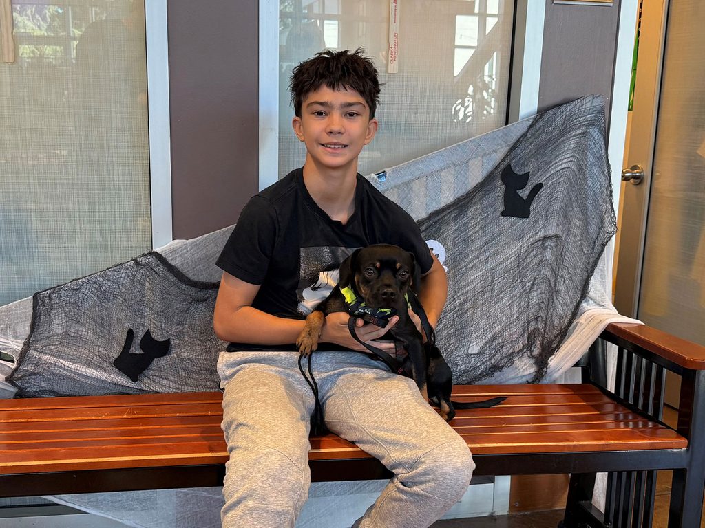 A boy sits on a wooden bench holding a small black-and-tan puppy, with a gray pet backdrop and glass doors behind him.