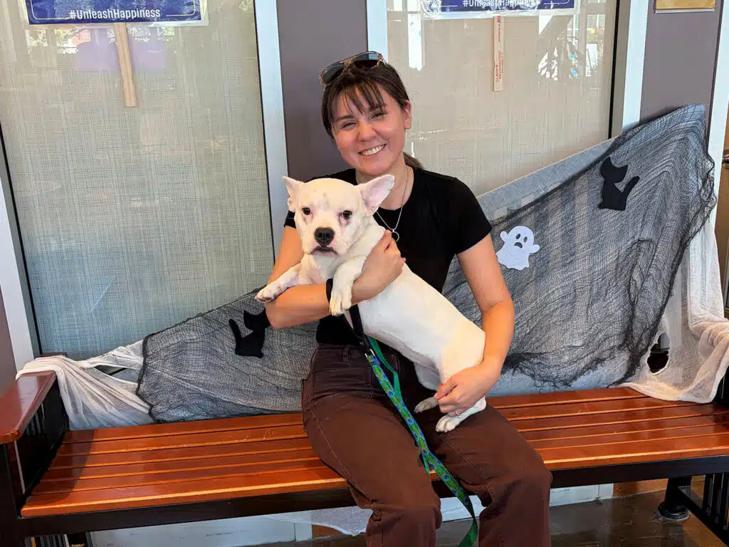 A woman in a black shirt holds a small white dog on a wooden bench, with Halloween-themed black mesh decorations and window panels behind them.