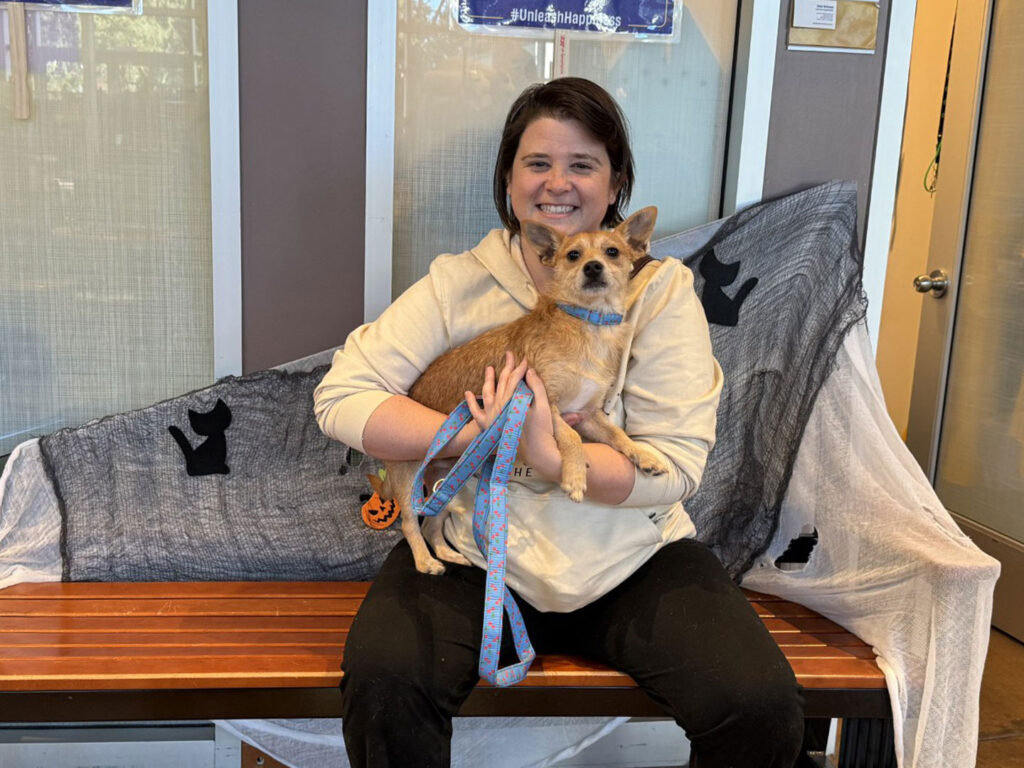 A woman in a light hoodie holds a small tan dog with a blue collar and leash while seated on a wooden bench decorated for Halloween.