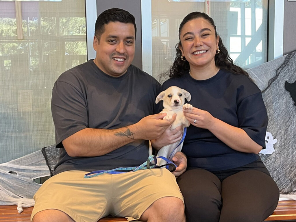 A man and a woman sit on a couch holding a small white puppy, with a window and cushions in the background.