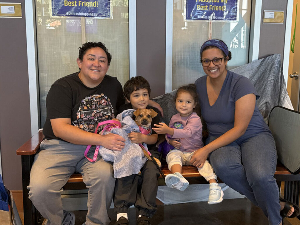 A family of four sits on a bench holding a small dog in sweaters, with pet adoption signs in the background.