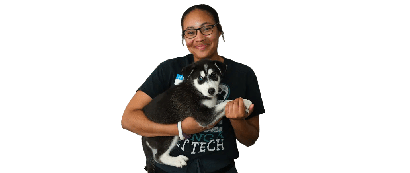A Joybound staff member in a black T-shirt holds a black-and-white husky against a plain background.