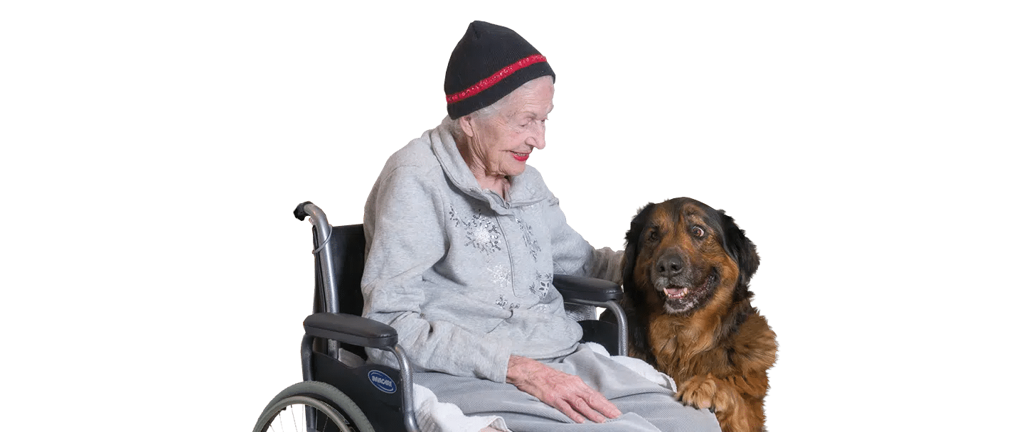 An elderly woman in a wheelchair sits beside a brown-and-black dog in a gray hoodie, shown against a white background for Service Dog Training.