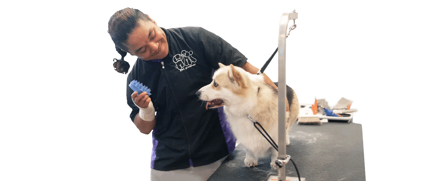 A Joybound staff member in a black shirt and blue gloves gently holds a dog on a veterinary table with medical equipment beside them.