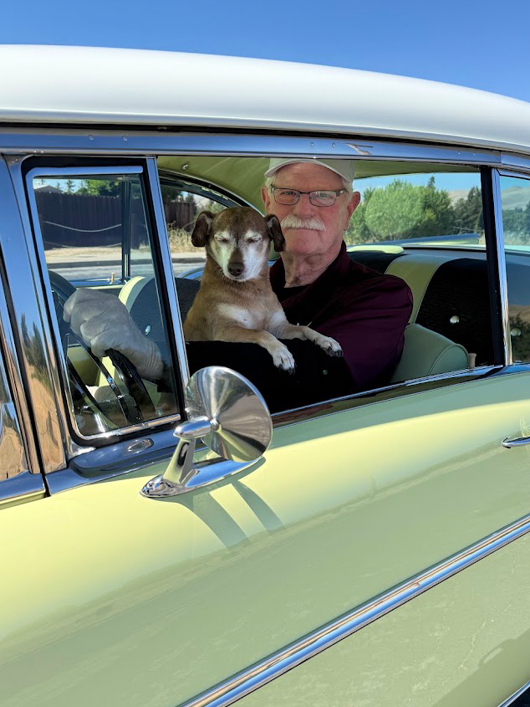 An older man wearing glasses sits in a vintage pale yellow car holding a small brown-and-white dog by the open window, with a blue sky and trees outside.