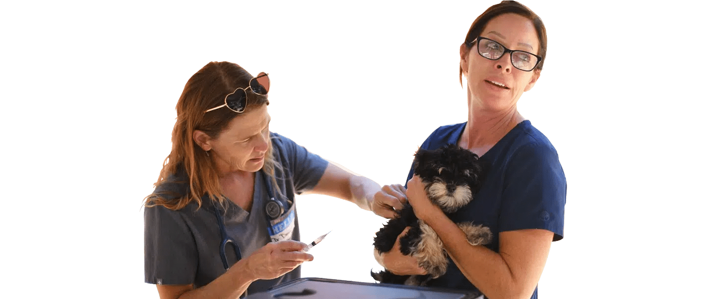 Two women in navy shirts stand together, one holding a black-and-white puppy and the other wearing a Joybound badge with a lanyard, against a white background.
