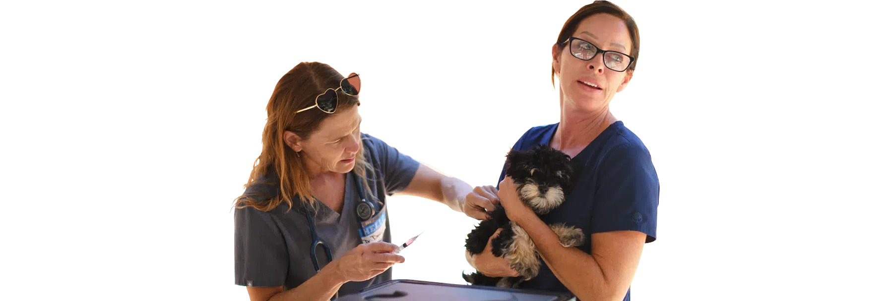 Two women in navy shirts stand together, one holding a black-and-white puppy and the other wearing a Joybound badge with a lanyard, against a white background.