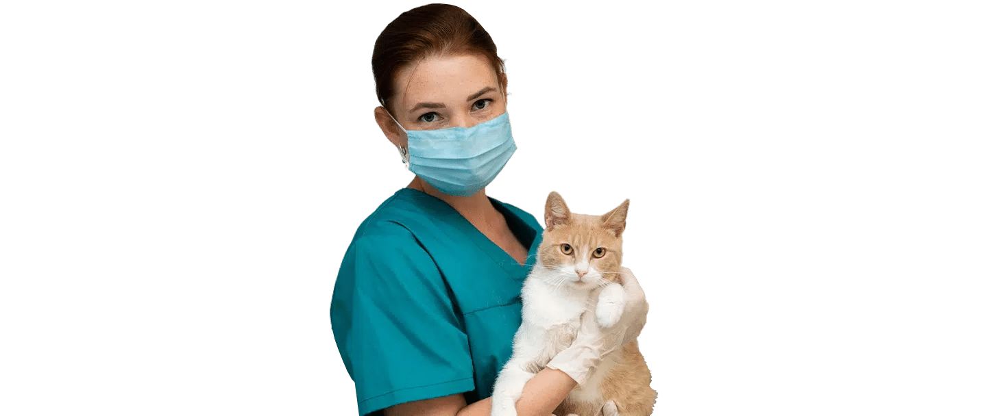 A Joybound staff member in teal scrubs and a blue mask holds an orange-and-white cat against a plain white background.
