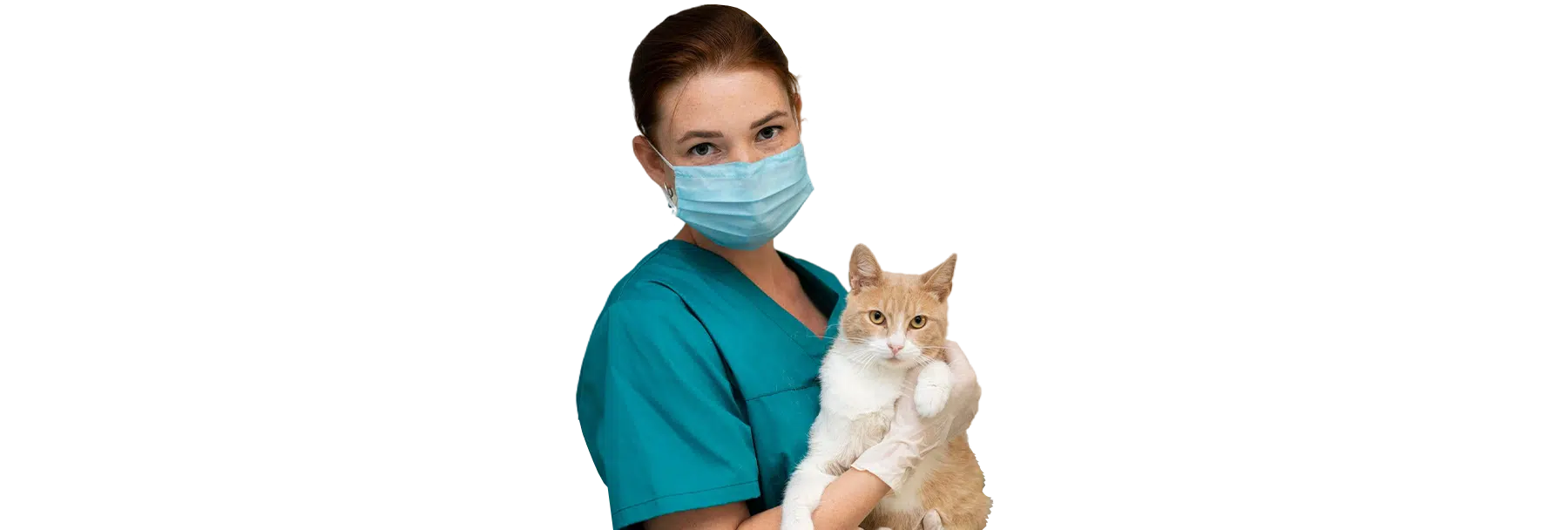 A Joybound staff member in teal scrubs and a blue mask holds an orange-and-white cat against a plain white background.