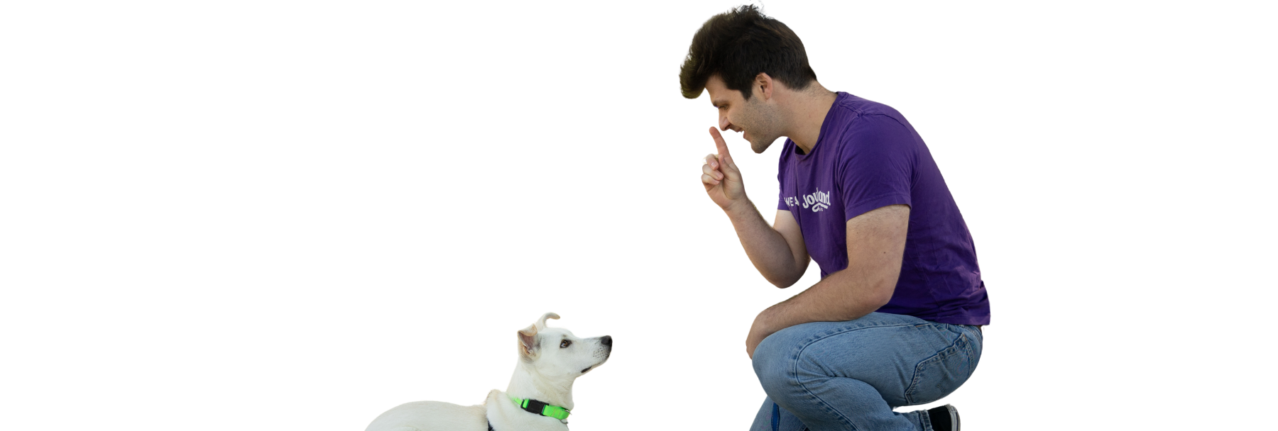 A man in a purple Joybound T-shirt kneels beside a white dog with a green collar on a plain background.