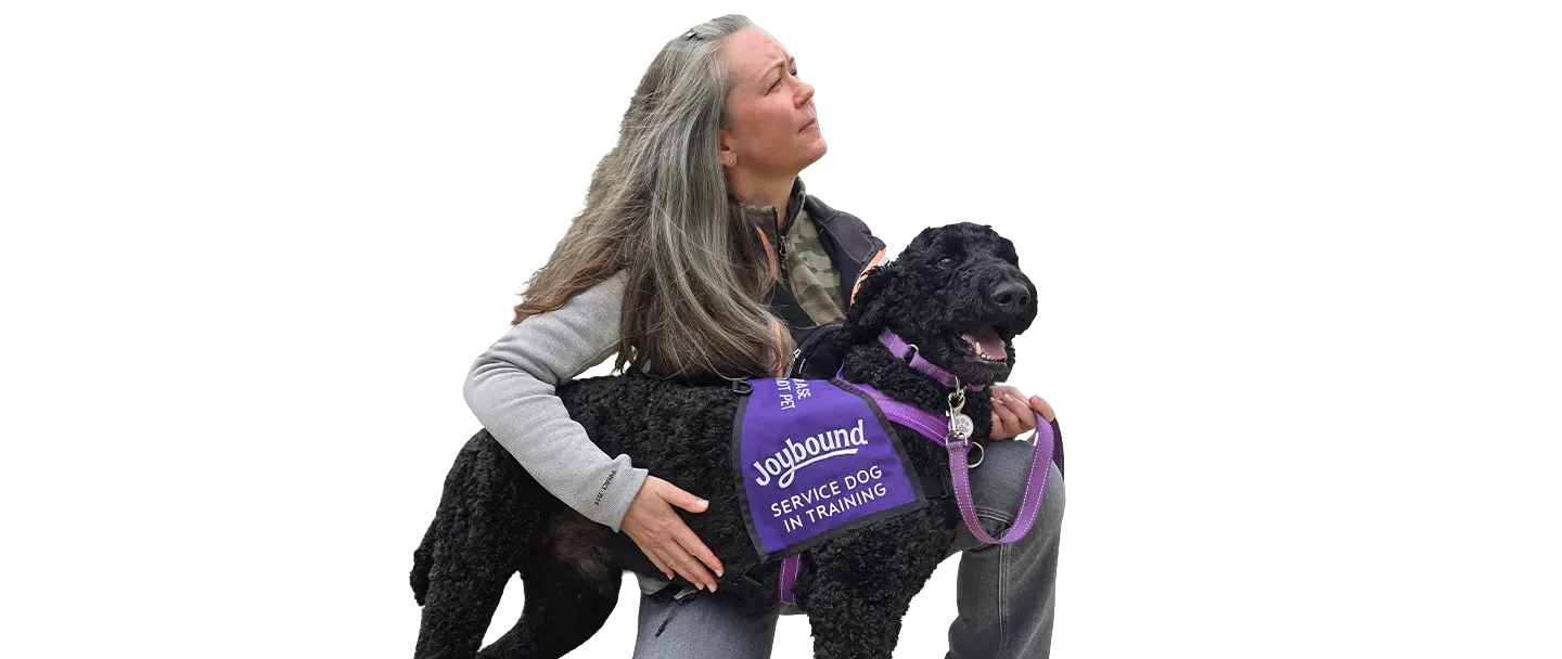 A woman with long gray hair holds a black dog wearing a purple vest labeled service dog in training, shown on a transparent background for service dog fostering.