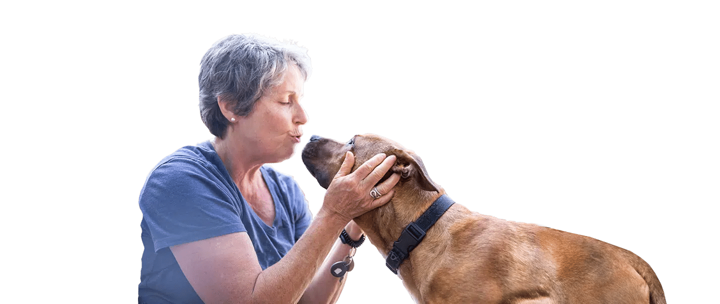 A woman in a blue shirt gently holds a brown dog’s face, with the Joybound logo on a white background.